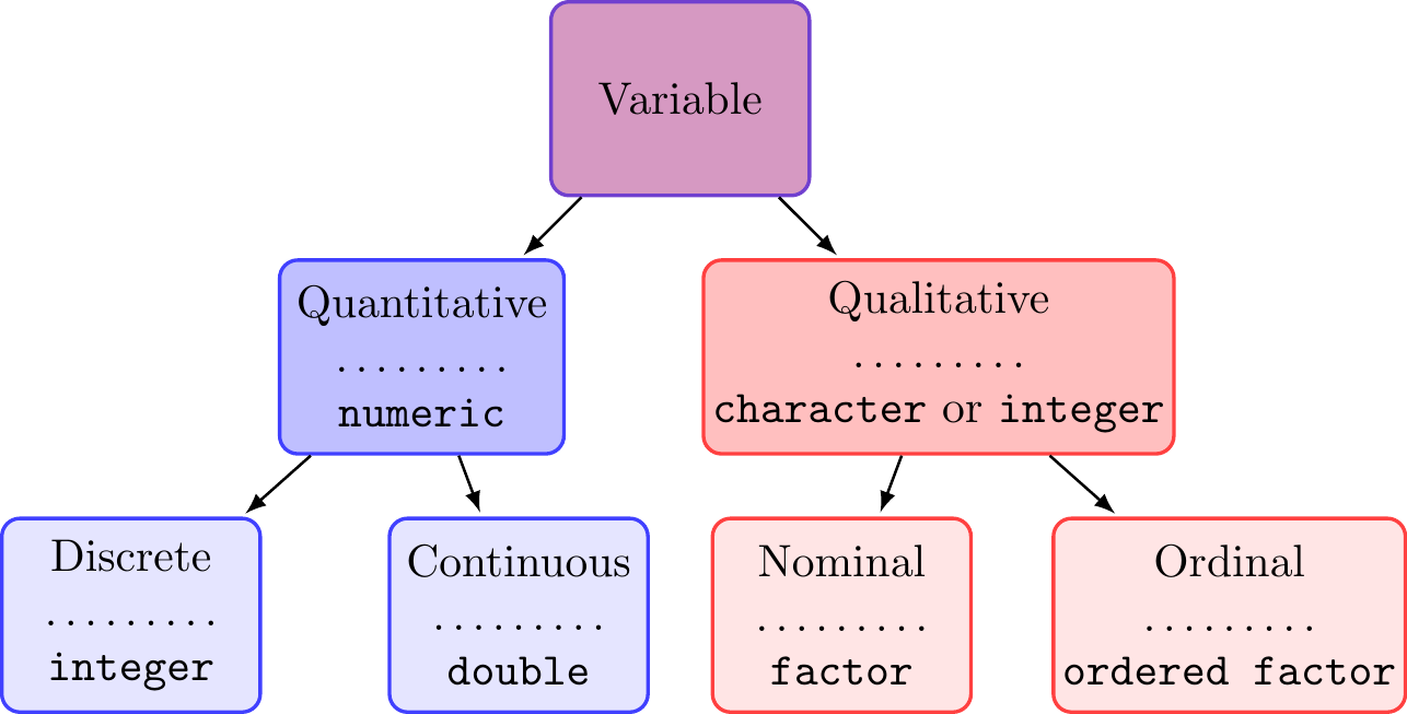 Variable types with corresponding R data types added below the dotted line.