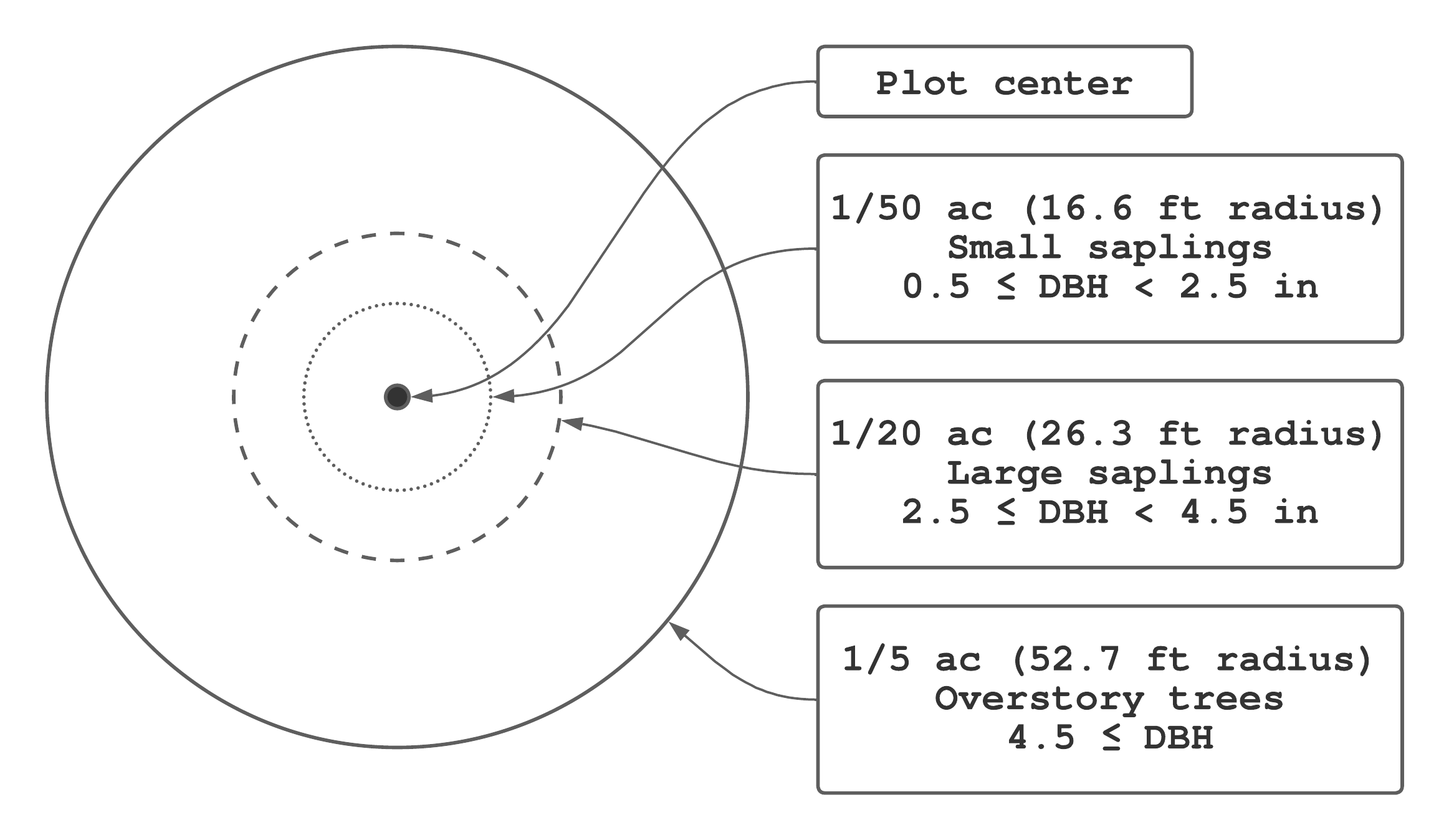 Penobscot Experimental Forest permanent sample plot (PSP) nested design and tree DBH measurement protocol.