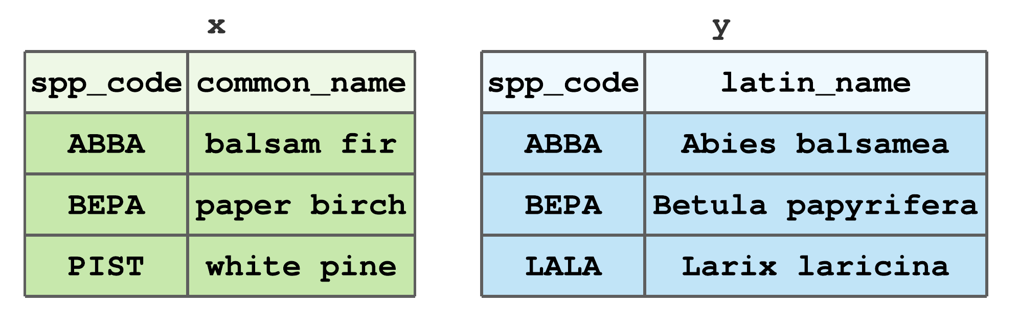 Stylized tibbles to illustrate `dplyr` join functions.