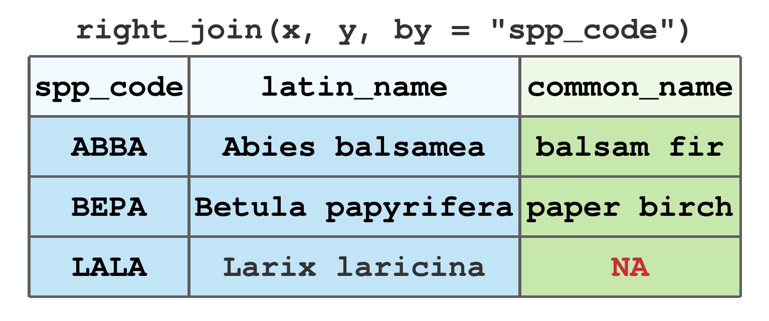 Right join by spp_code for tibbles in Figure 7.13.