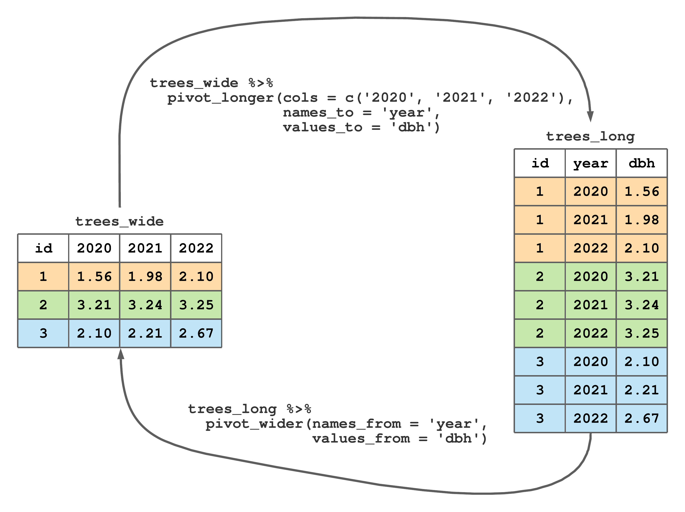 Changing longitudinal DBH measurements on three trees from wide to long format.